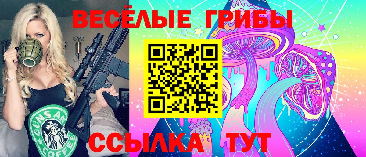 Ессентуки  Галлюциногенные грибы мухоморы  Псилоцибиновые грибы ЛСД  закладки  Вход с VPN 