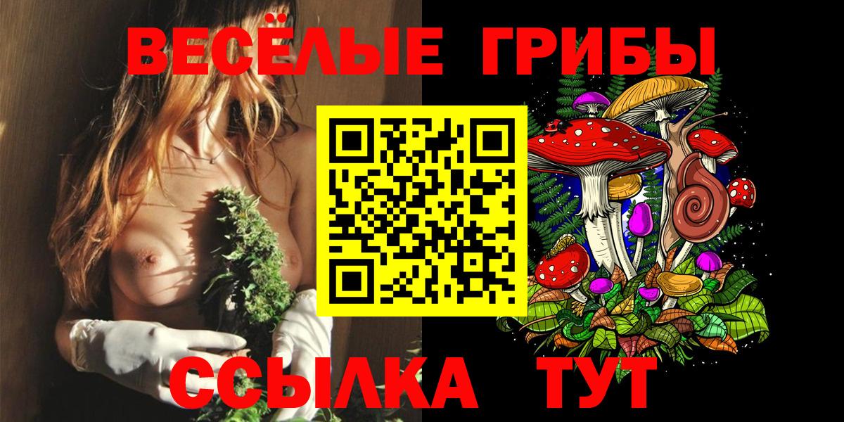 Псилоцибиновые грибы Psilocybe Ессентуки