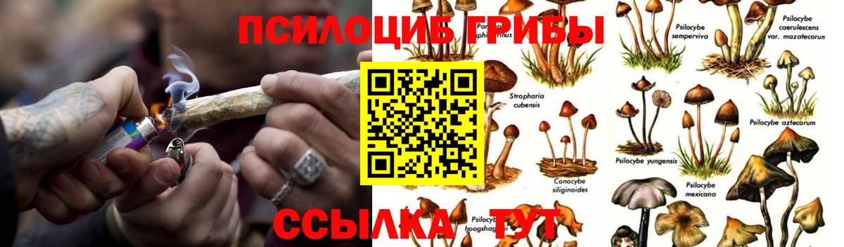 НБОМе Ессентуки